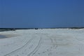 Sunset Panama City Beach Florida, Balmy Hot evening egrets Royalty Free Stock Photo