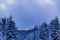 Sunset forest landscape panorama icy fir trees Brocken mountain Germany Royalty Free Stock Photo