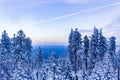 Sunset forest landscape panorama icy fir trees Brocken mountain Germany Royalty Free Stock Photo