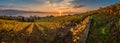 Sunset and panorama over vineyards in Lutry Royalty Free Stock Photo