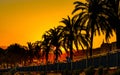 Sunset panorama of Promenade des Anglais boulevard and palm trees along Nice old town district beach shore in France Royalty Free Stock Photo