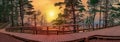 Sunset panorama of wooden path near Baltic sea coast. Panorama of coniferous forest with pine trees and Baltic sea coast with Royalty Free Stock Photo