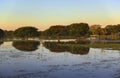 Sunset in Pantanal Royalty Free Stock Photo