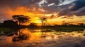 Sunset in the Pantanal, Mato Grosso do Sul, Brazil, South America