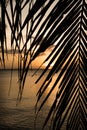 Sunset in Paradise Royalty Free Stock Photo