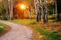 Pathway by the forest, beautiful sunset in park, sun rays through trees branches