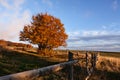 Sunset in the park of Monti San Vicino and Canfaito, Italy Royalty Free Stock Photo