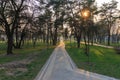 Sunset in a park with trees and green grass on the ground. Kioto park, Kyiv, Ukraine