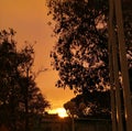 Sunset from a patio in san miguel de allende guanajuato with amazing orange sky and plants tree contrast