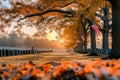 Sunset at a peaceful cemetery with American flags and autumn foliage. Royalty Free Stock Photo