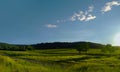 Sunset on peacefull landscape vineyards and forest in Southern France