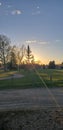 Sunset peeking thru the trees at me in the evening Royalty Free Stock Photo