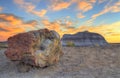 Sunset Petrified Wood