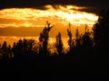 Sunset photography. Chilean countryside. Nature landscape. Palmilla, Maule , Chile. Royalty Free Stock Photo