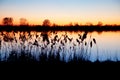 Sunset in pianura Padana Royalty Free Stock Photo