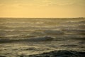 Sunset at piha beach in New Zealand