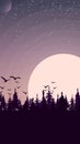 Sunset in a pine forest, birds soared into the sky Royalty Free Stock Photo