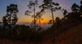 Sunset in the pine forest The evening Mountain Landscapes Photography