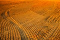 Plowed field landscape