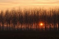 Sunset Po Valley Italy landscape sun sky fields color Royalty Free Stock Photo