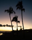 Sunset at Poipu \'Monk Seal\