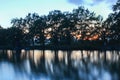Sunset on pond with trees silhouette, long exposure, close up ph Royalty Free Stock Photo