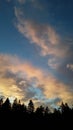 Sunset portrait of a pine ridge and steamy clouds in picturesque California 3