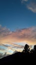 Sunset portrait of a pine ridge and steamy clouds in picturesque California