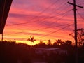 Sunset and powerlines