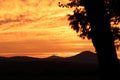 Orange Mountain Sunset, Silver Maple Royalty Free Stock Photo