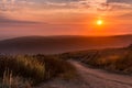 Sunset on a quiet nature trail with beautiful sky