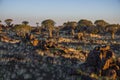 Sunset in Quiver Tree Forest, Namibia, South Africa Royalty Free Stock Photo