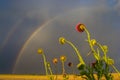 Sunset with rainbow.La Pampa Royalty Free Stock Photo