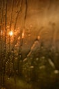 Outside window rain and sunset