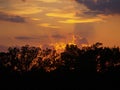 Sunset Rays