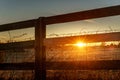 Sunset rays through farm fence. Royalty Free Stock Photo