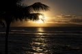 Sunset Rays over Ocean Behind Island with Palm Tree Royalty Free Stock Photo