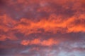 Sunset red sky with clouds horizontal background Royalty Free Stock Photo