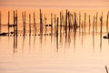 Sunset with reddish tones of the Albufera lake in Valencia, Spain, with rods and fishing nets tied to these
