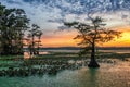 Sunset, Reelfoot Lake in Tennessee Royalty Free Stock Photo