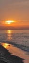 Sunset reflection at the beachâ Royalty Free Stock Photo