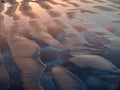 Sunset reflection on the beach in Playa Aguacaliente, Punta Banda