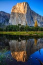 Sunset Reflections on El Capitan and the Merced River, Yosemite National Park, California Royalty Free Stock Photo