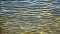 Sunset Reflections on Rippling Water Surface Royalty Free Stock Photo