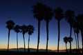 A sunset renders palm trees in silhouette