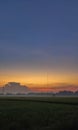 Sunset in the rice fields on a beautiful afternoon. Royalty Free Stock Photo