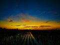 Sunset in the rice fields Royalty Free Stock Photo