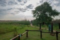 Bird Hide, Rietvlei Nature Reserve, South Africa. Royalty Free Stock Photo