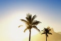 Sunset Rio de Janeiro Ipanema Beach Two Brothers Mountain Brazil