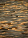 Sunset ripples on sea